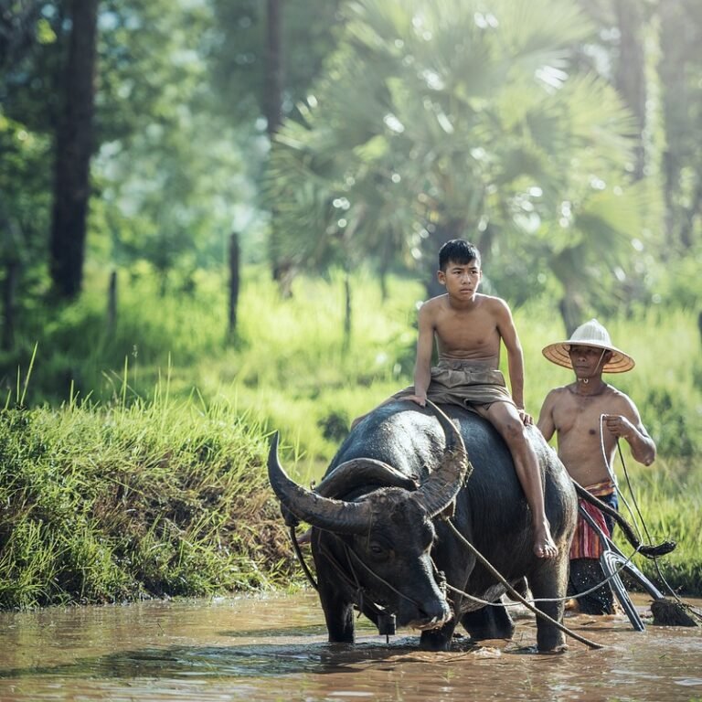 macam kelompok permainan